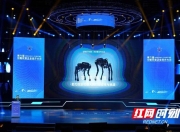 Karsa赛事官方发布精彩发挥新规，独行侠争议不断！